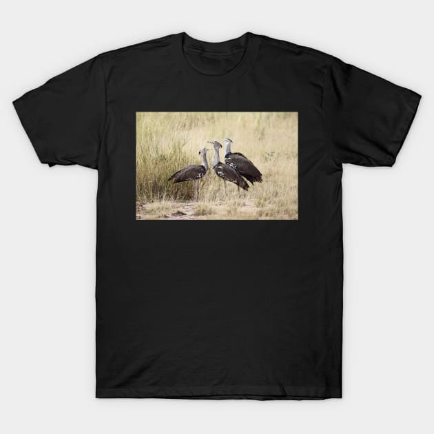 Kori Bustard, Kenya T-Shirt by Carole-Anne